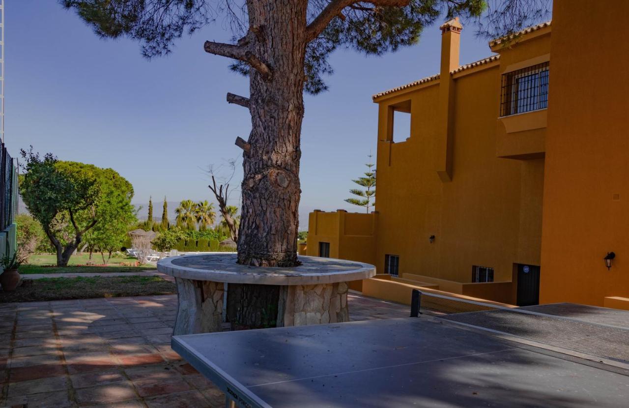 Alhaurín de la Torre Tess Villa La Favorita מראה חיצוני תמונה